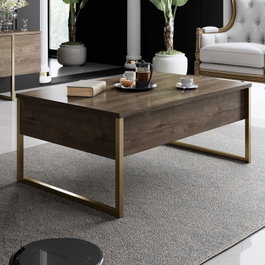 Hanah Home Luxe Mesa de Centro Nogal y Dorado